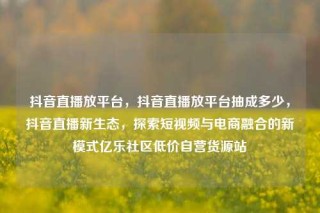 抖音直播放平台，抖音直播放平台抽成多少，抖音直播新生态，探索短视频与电商融合的新模式亿乐社区低价自营货源站