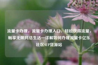 流量卡办理，流量卡办理入口，轻松获得流量，畅享无限网络生活—详解如何办理流量卡亿乐社区SUP货源站