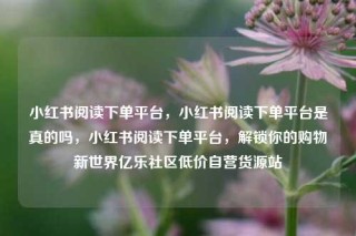 小红书阅读下单平台，小红书阅读下单平台是真的吗，小红书阅读下单平台，解锁你的购物新世界亿乐社区低价自营货源站