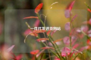 一件代发进货网站