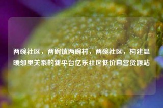 两碗社区，两碗镇两碗村，两碗社区，构建温暖邻里关系的新平台亿乐社区低价自营货源站