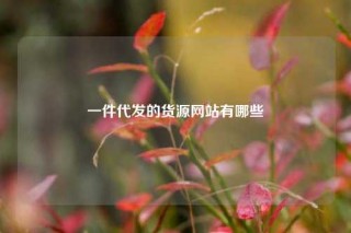 一件代发的货源网站有哪些