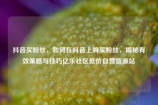 抖音买粉丝，如何在抖音上购买粉丝，揭秘有效策略与技巧亿乐社区低价自营货源站
