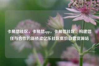 卡易信社区，卡易信app，卡易信社区，构建信任与合作的新桥梁亿乐社区低价自营货源站