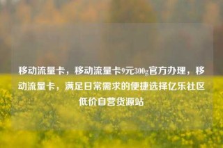 移动流量卡，移动流量卡9元300g官方办理，移动流量卡，满足日常需求的便捷选择亿乐社区低价自营货源站