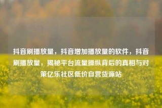 抖音刷播放量，抖音增加播放量的软件，抖音刷播放量，揭秘平台流量操纵背后的真相与对策亿乐社区低价自营货源站