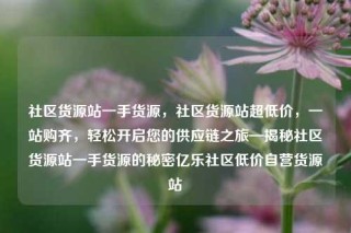 社区货源站一手货源，社区货源站超低价，一站购齐，轻松开启您的供应链之旅—揭秘社区货源站一手货源的秘密亿乐社区低价自营货源站