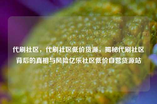 代刷社区	，代刷社区低价货源，揭秘代刷社区背后的真相与风险亿乐社区低价自营货源站  第1张
